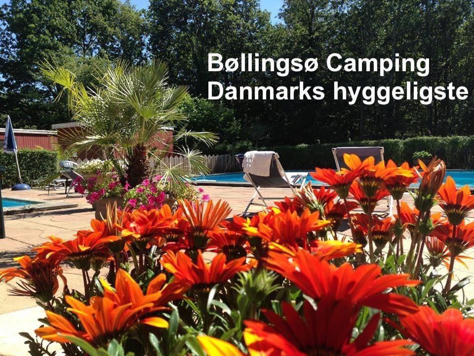 Bollingso Camping Engesvang Exterior photo